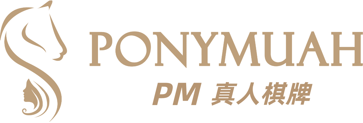 PM真人棋牌 logo